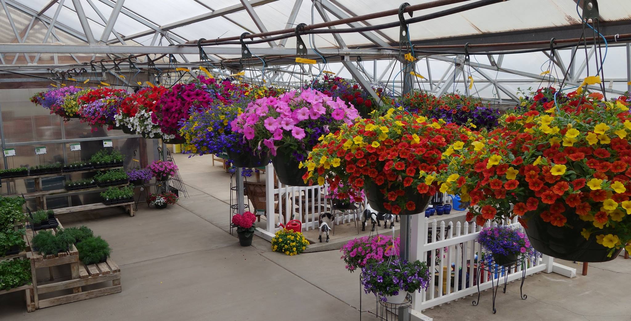 Greenhouse - Four Seasons Greenhouse