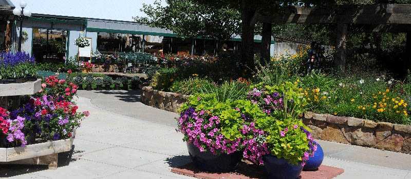 image of the front of Four Seasons Greenhouse and Nursery in Dolores, CO