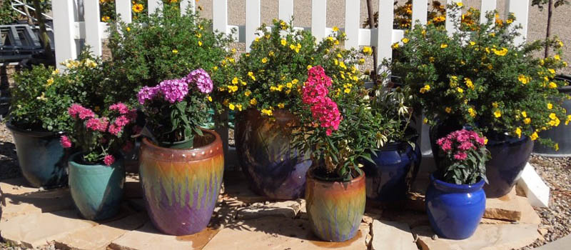 image of plant potting and other garden services